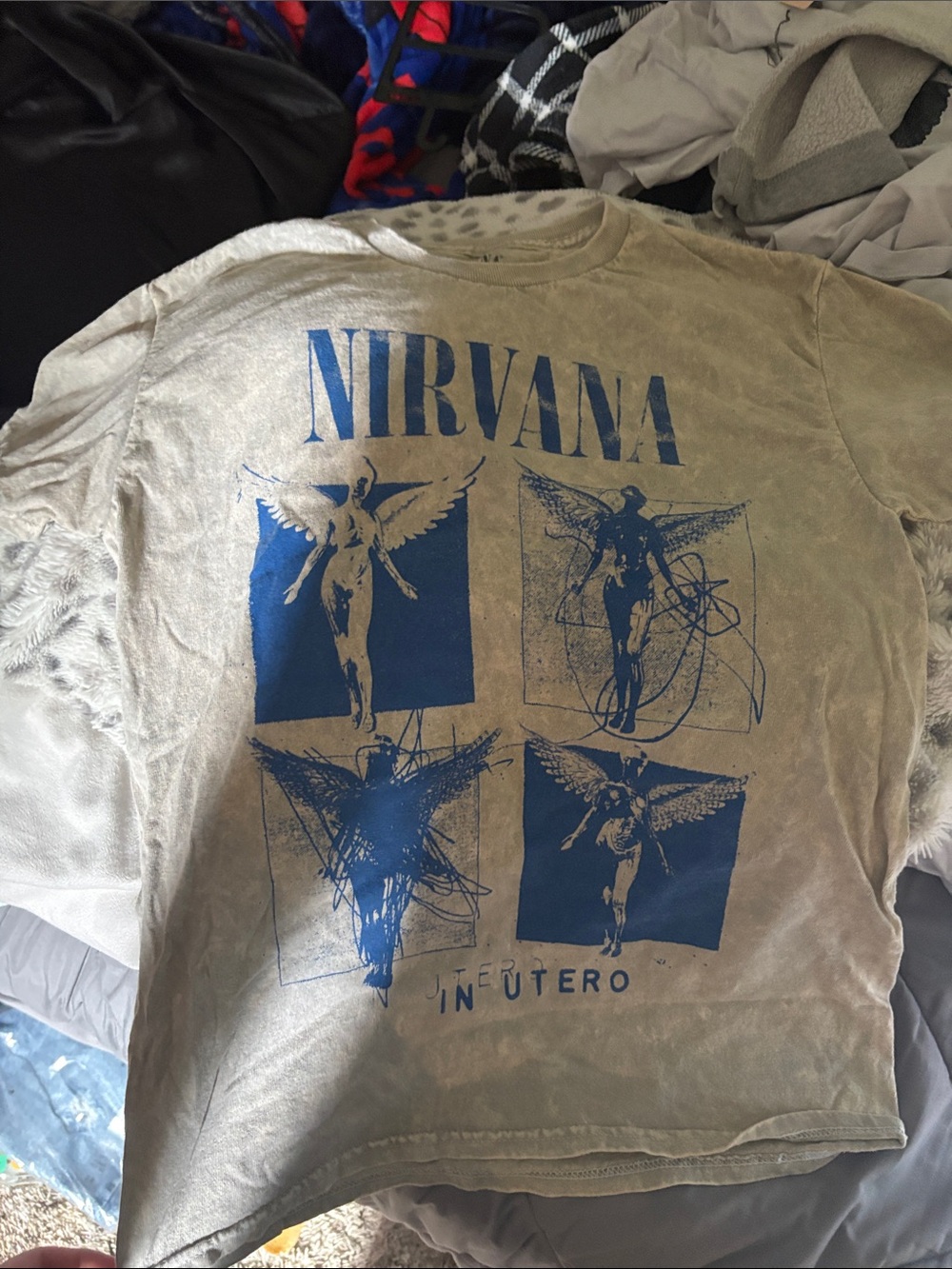 Nirvana Men's In Utero Graphic Tee - beige/grey with Blue Print